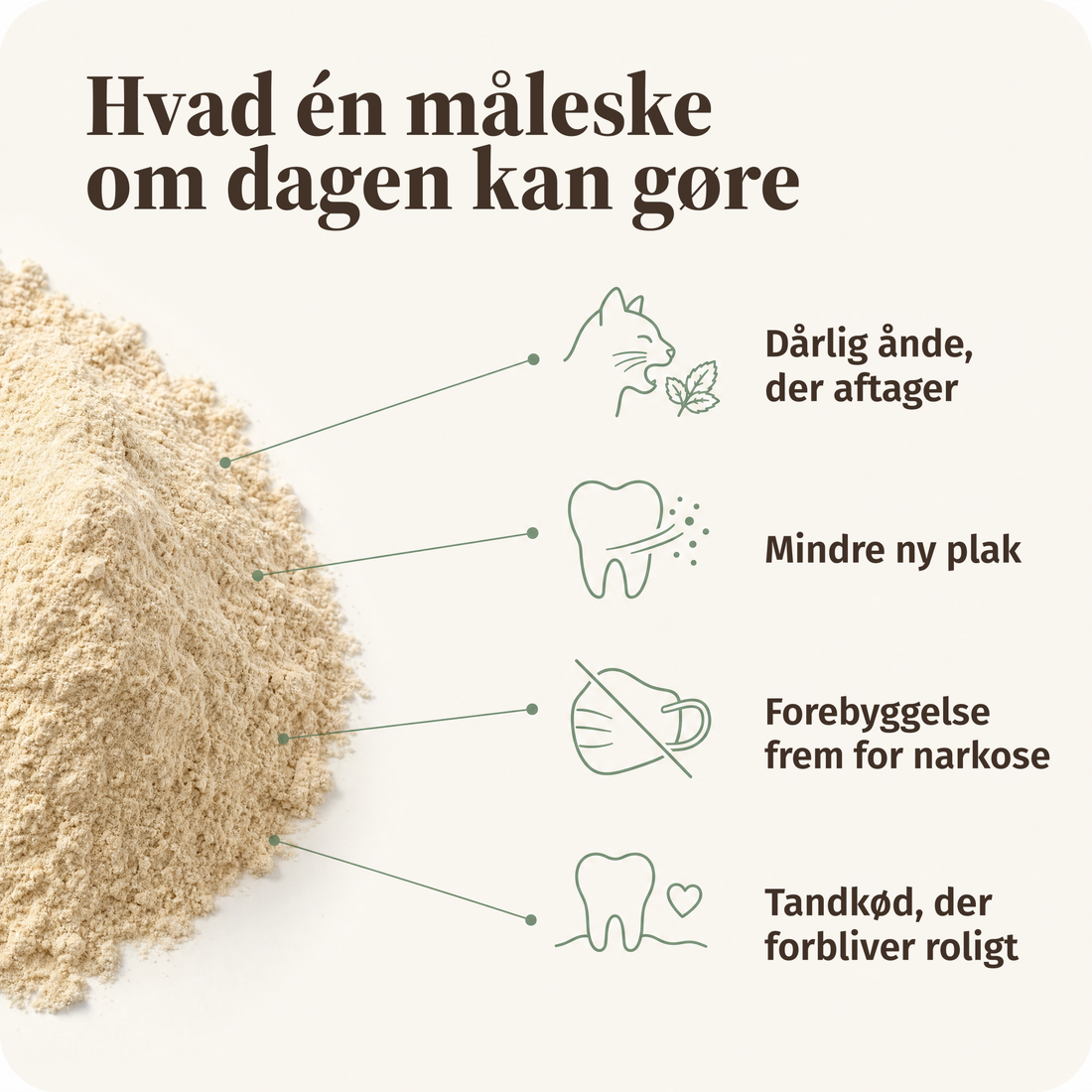 Hvad en ske om dagen kan gøre