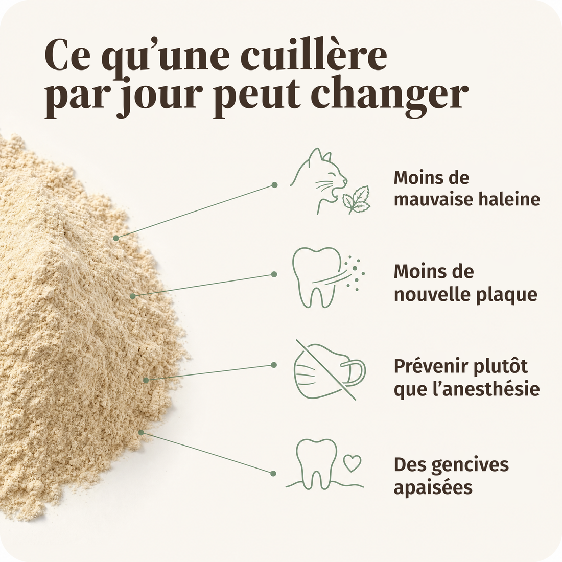 Ce qu’une cuillère par jour peut changer