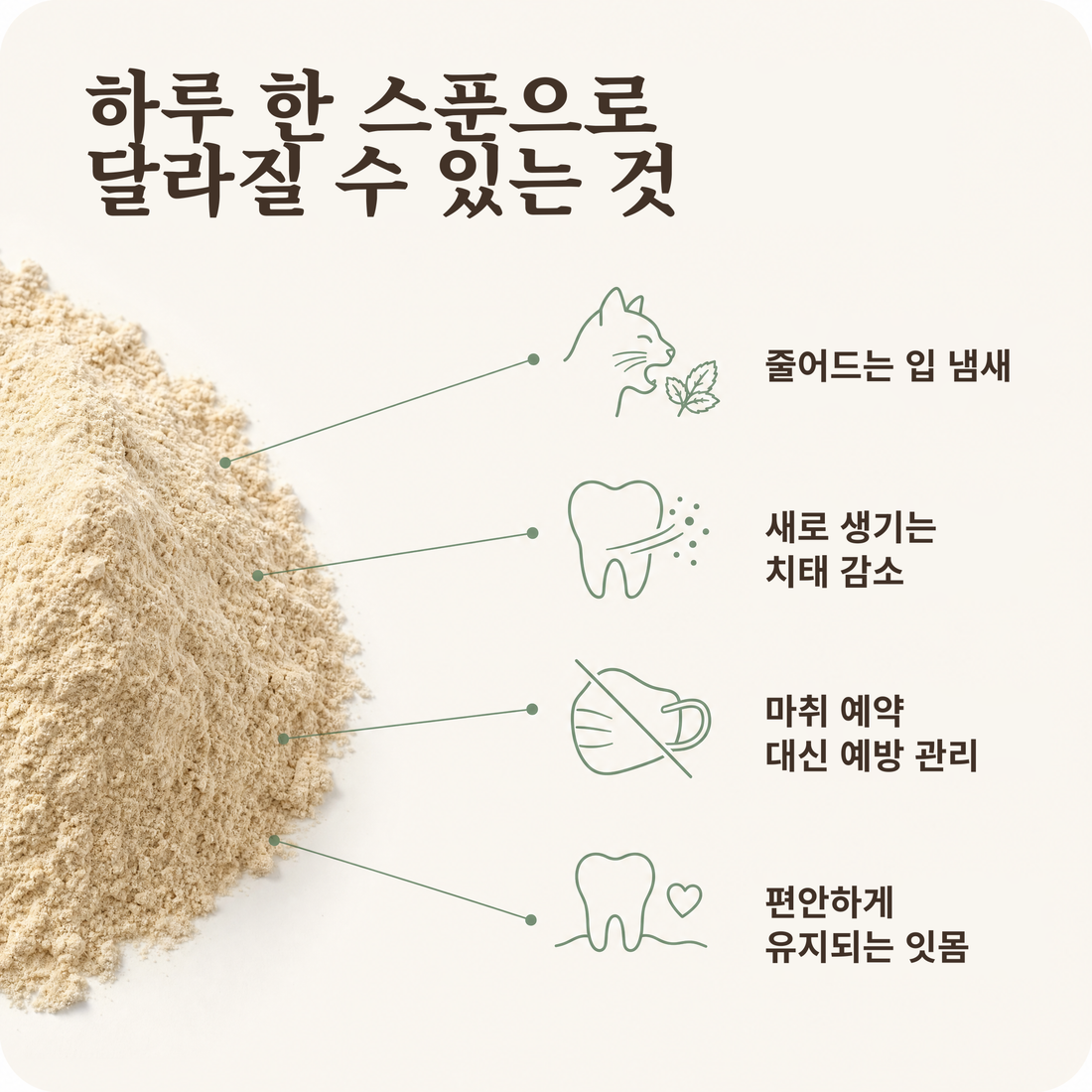 하루 한 스푼으로 달라질 수 있는 것