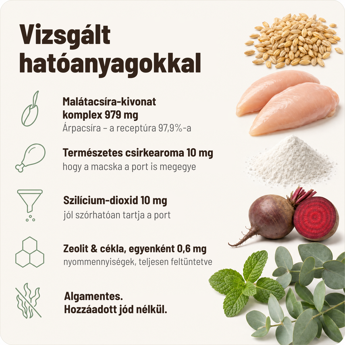 Vizsgált hatóanyagokkal