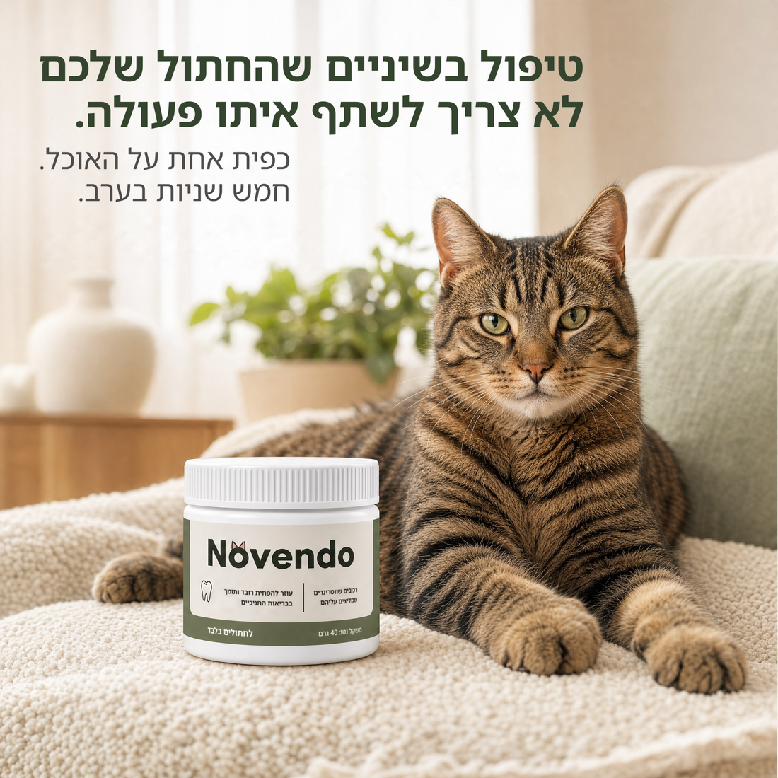 טיפוח שיניים שהחתול שלכם לא צריך לשתף בו פעולה