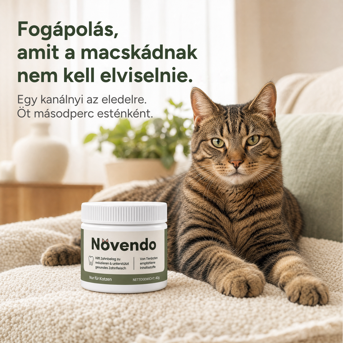 Fogápolás, amelyhez a macskádnak semmit sem kell elviselnie