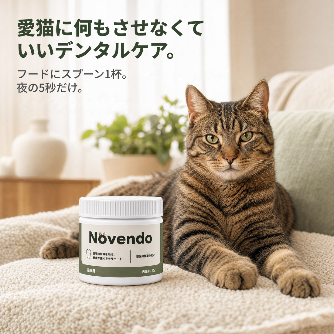 愛猫が何もしなくていいデンタルケア
