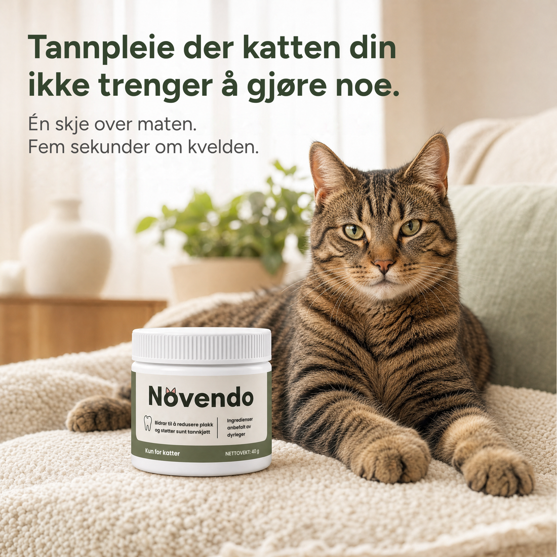 Tannpleie der katten din ikke trenger å gjøre noe