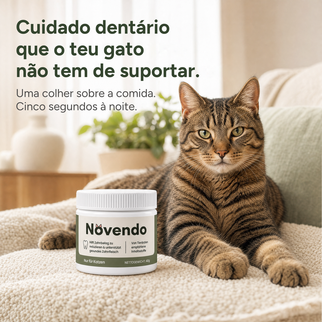 Higiene dentária em que o teu gato não tem de colaborar