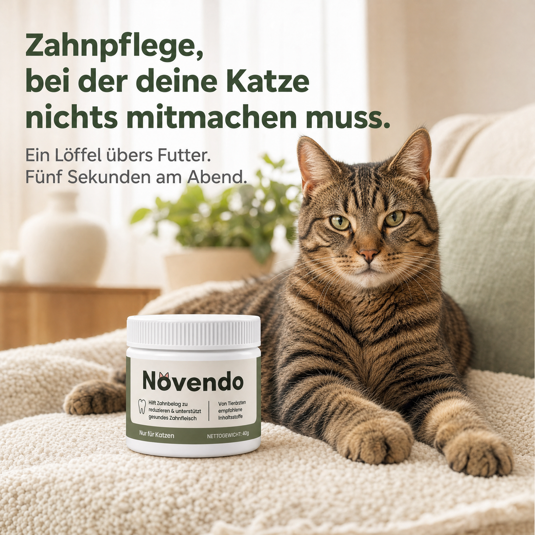 Zahnpflege, bei der deine Katze nichts mitmachen muss