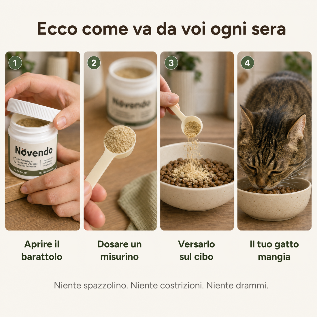 Così va ogni sera da voi