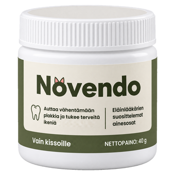 Novendo