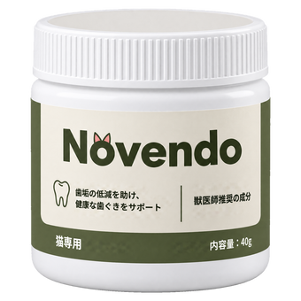 Novendo