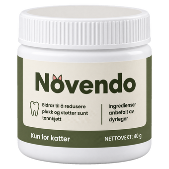 Novendo