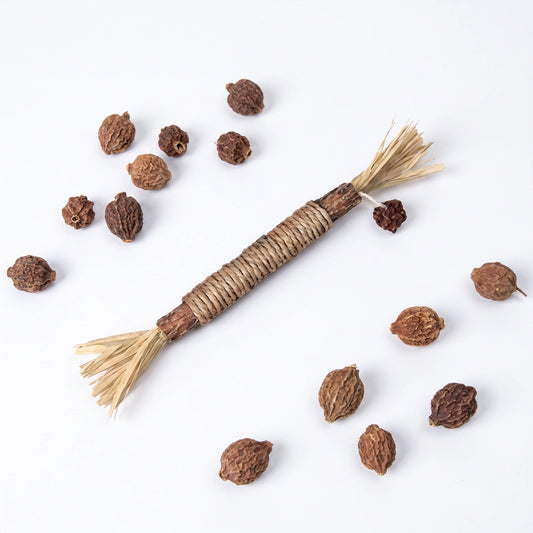 Matatabi-Stick aus Silvervine-Holz mit getrockneten Matatabi-Früchten