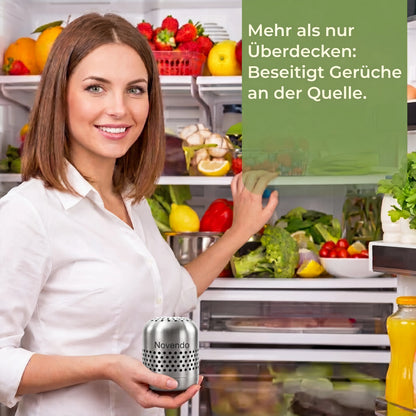 Novendo Kühlschrank-Geruchs- & Bakterienreiniger