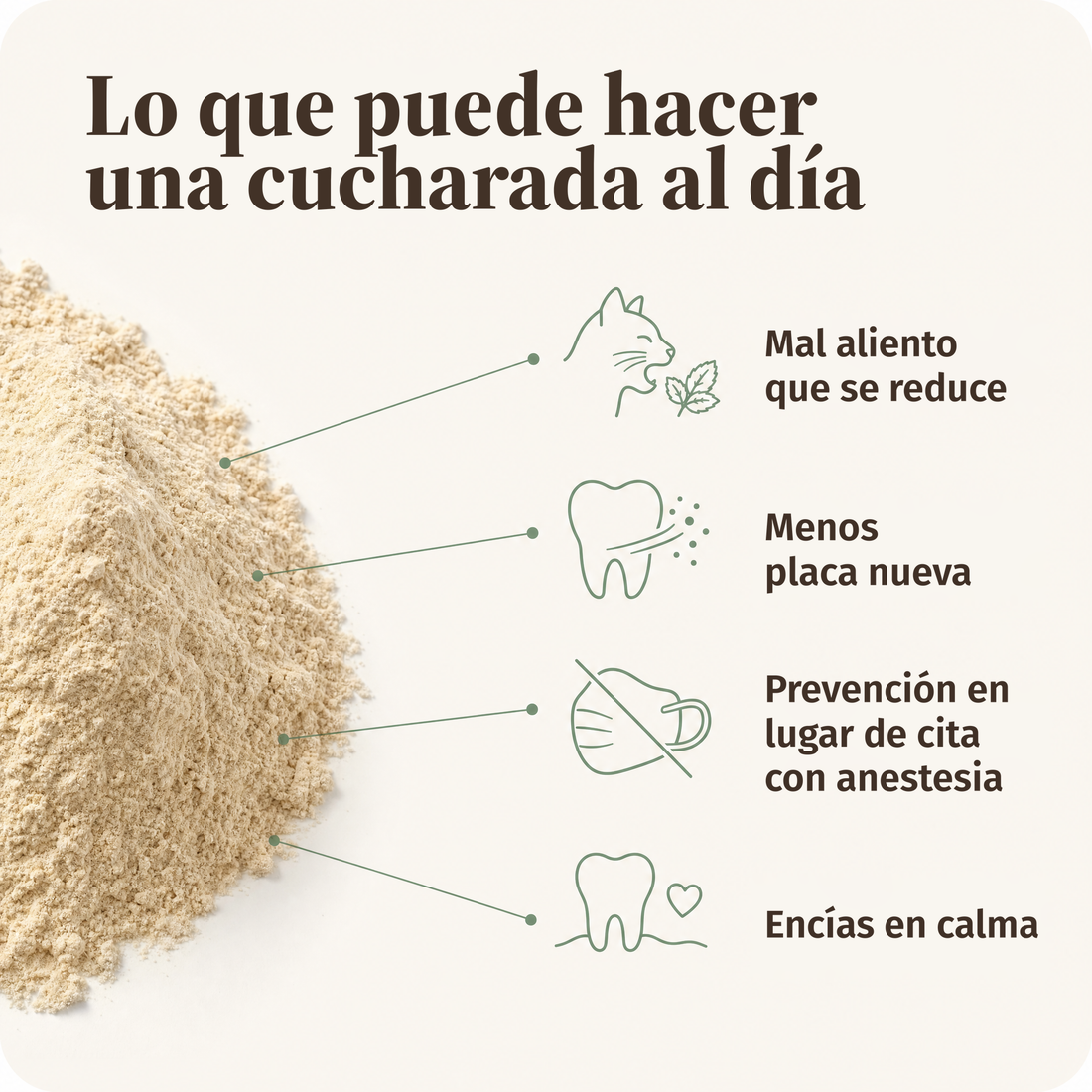 Lo que puede lograr una cucharada al día