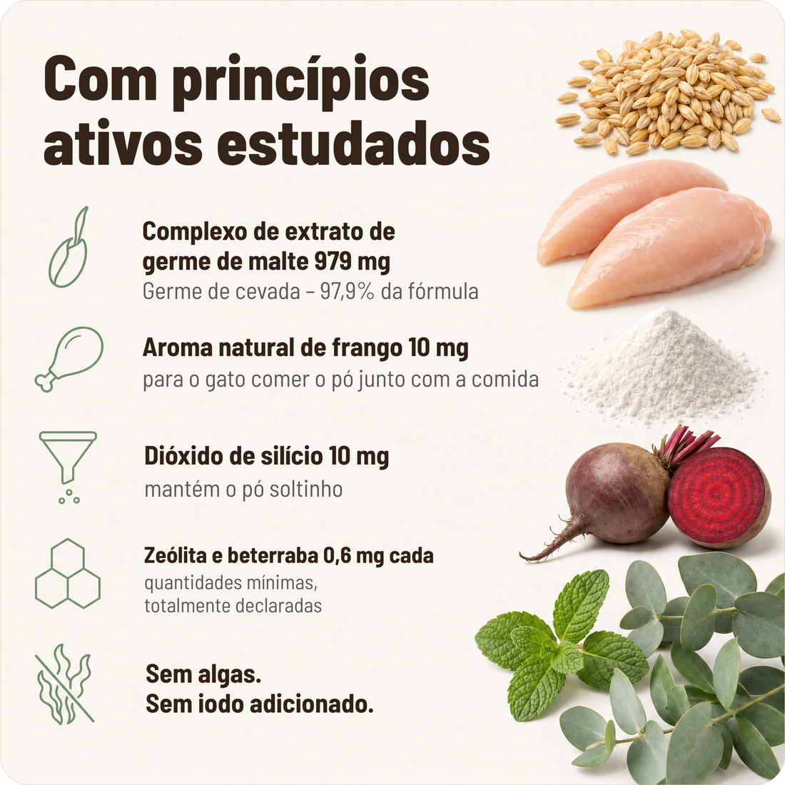 Com ingredientes ativos estudados