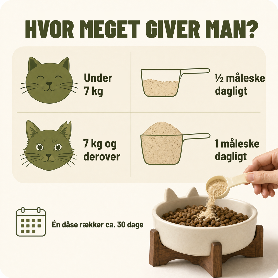 Hvor meget skal katten have – dosering efter vægt