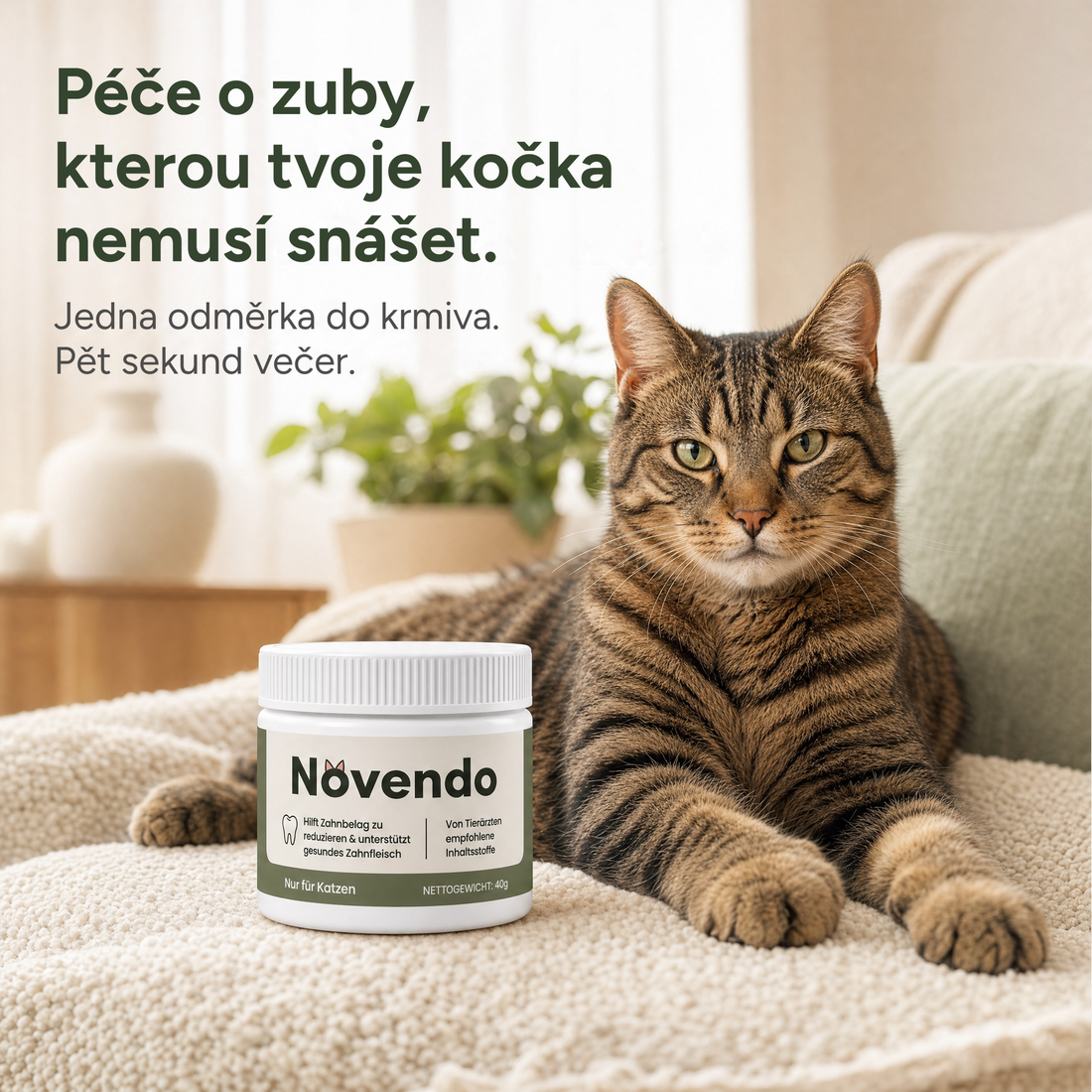 Péče o zuby, při které tvoje kočka nemusí nic snášet