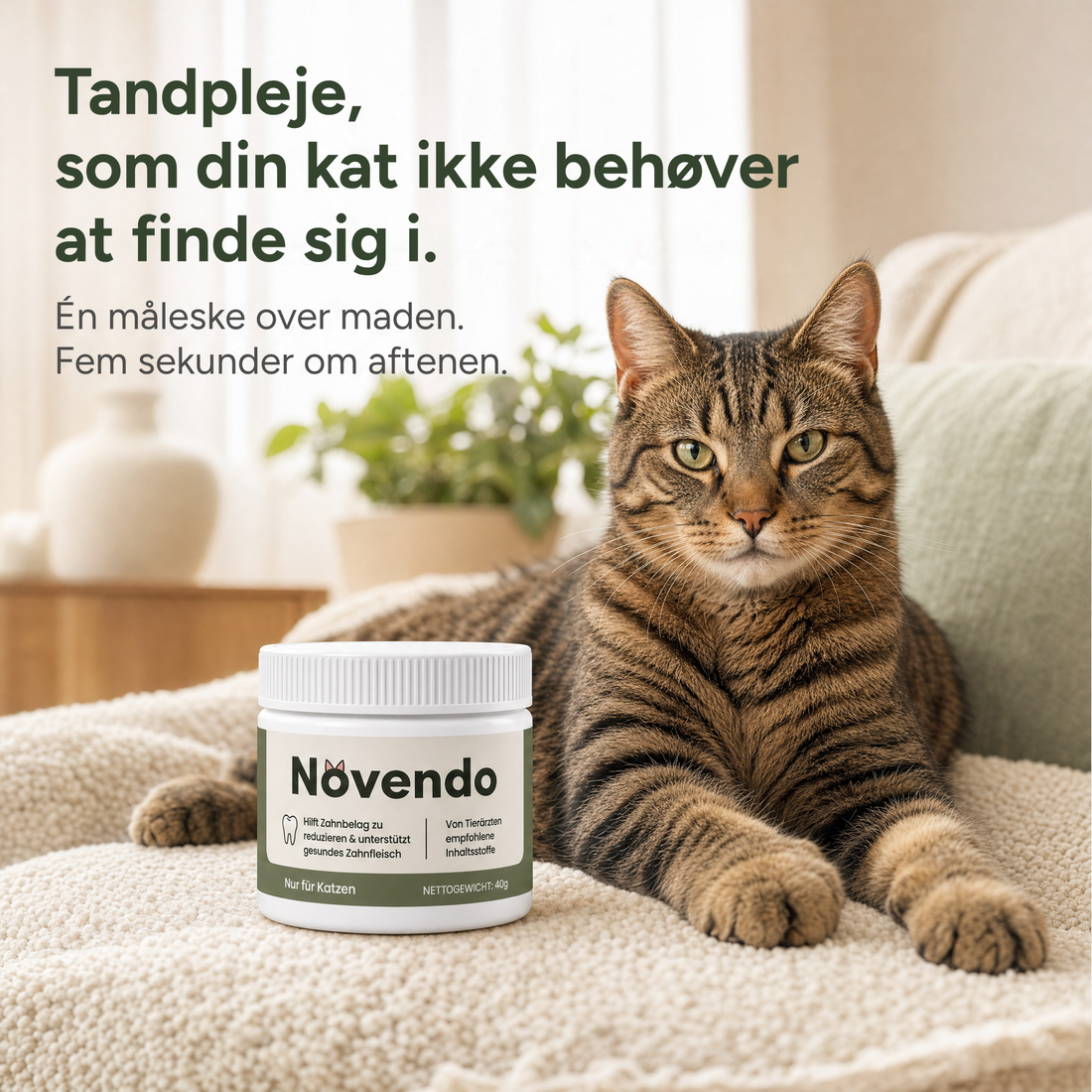 Tandpleje, hvor din kat ikke skal gøre noget