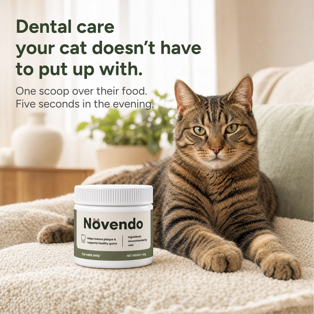 Dental care that asks nothing of your cat
