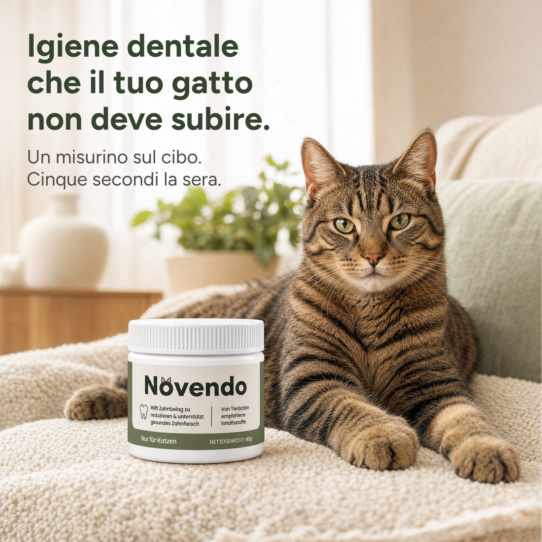 Igiene dentale che non chiede nulla al tuo gatto