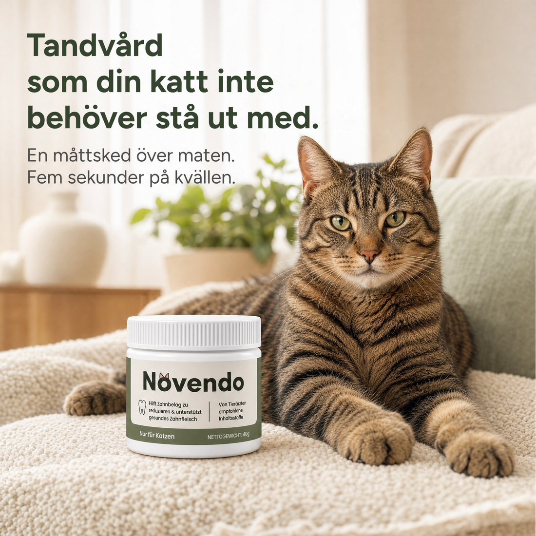 Tandvård där din katt inte behöver göra något