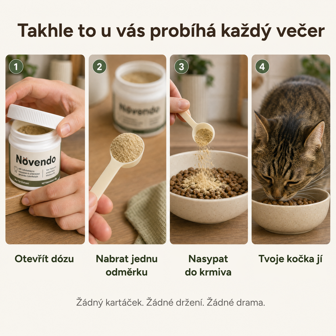 Takhle to u vás probíhá každý večer