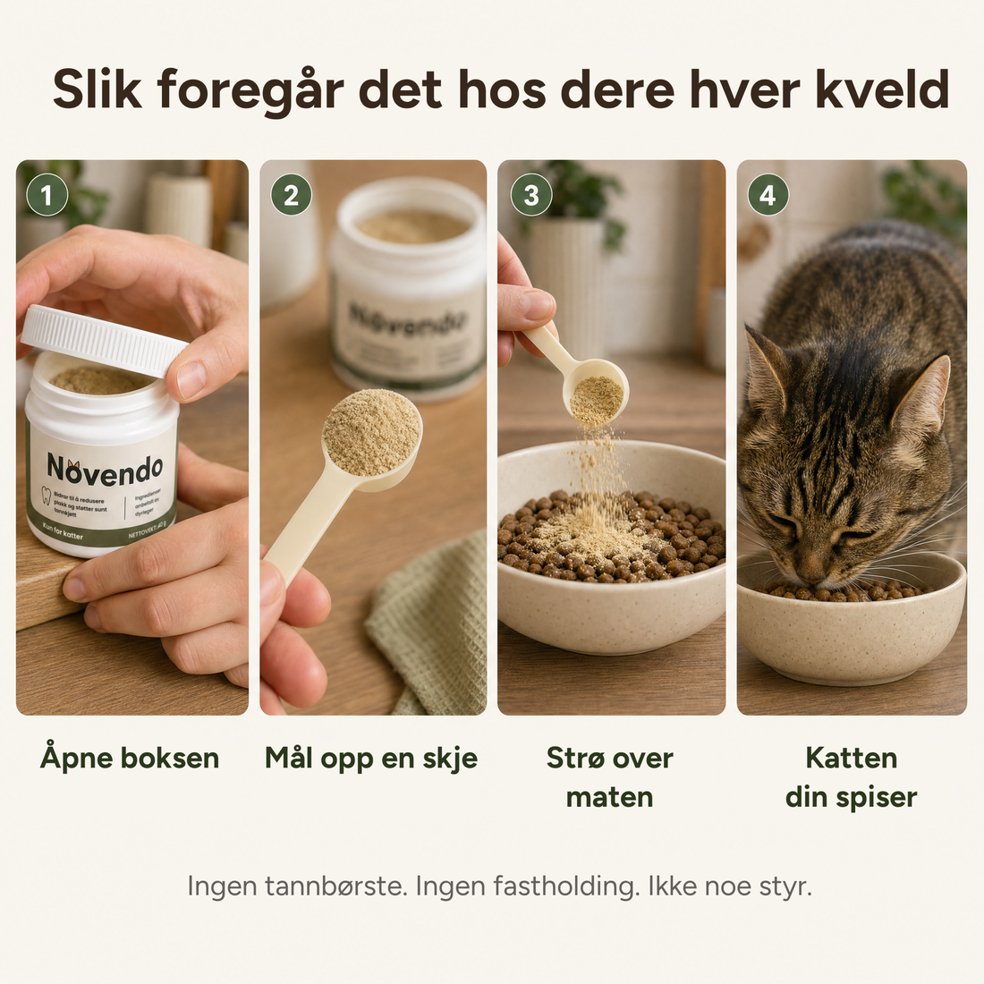 Slik foregår det hos dere hver kveld