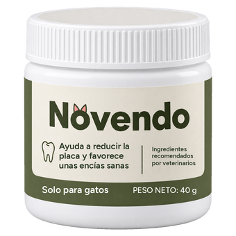 Novendo