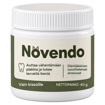 Novendo