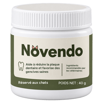 Novendo
