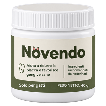 Novendo
