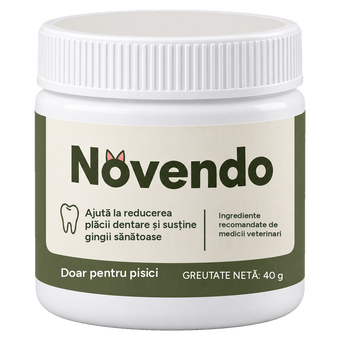 Novendo