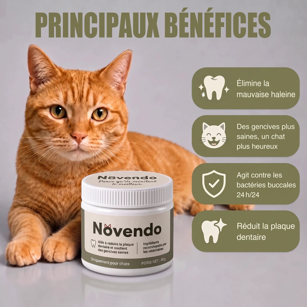 Principaux bénéfices de Novendo : moins de mauvaise haleine, gencives plus saines, moins de plaque