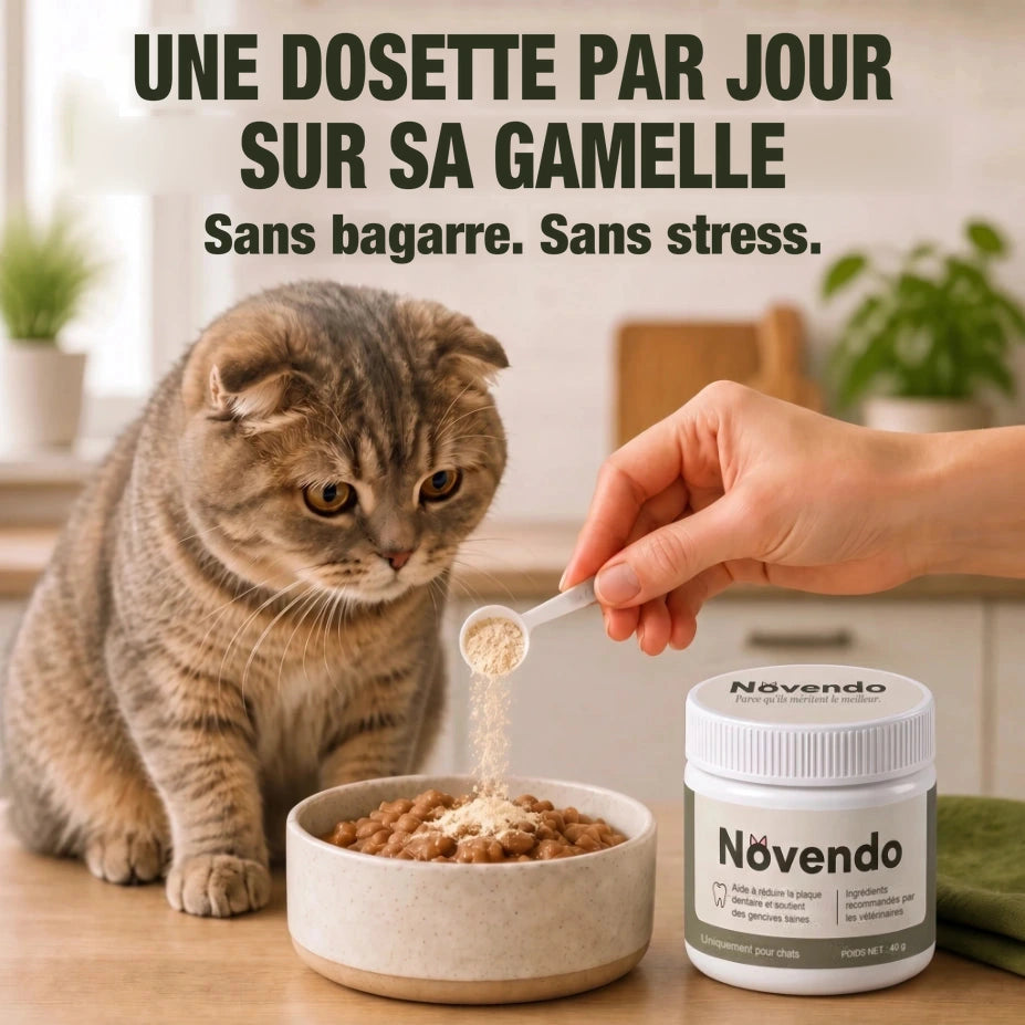 Une dosette de Novendo par jour sur la gamelle