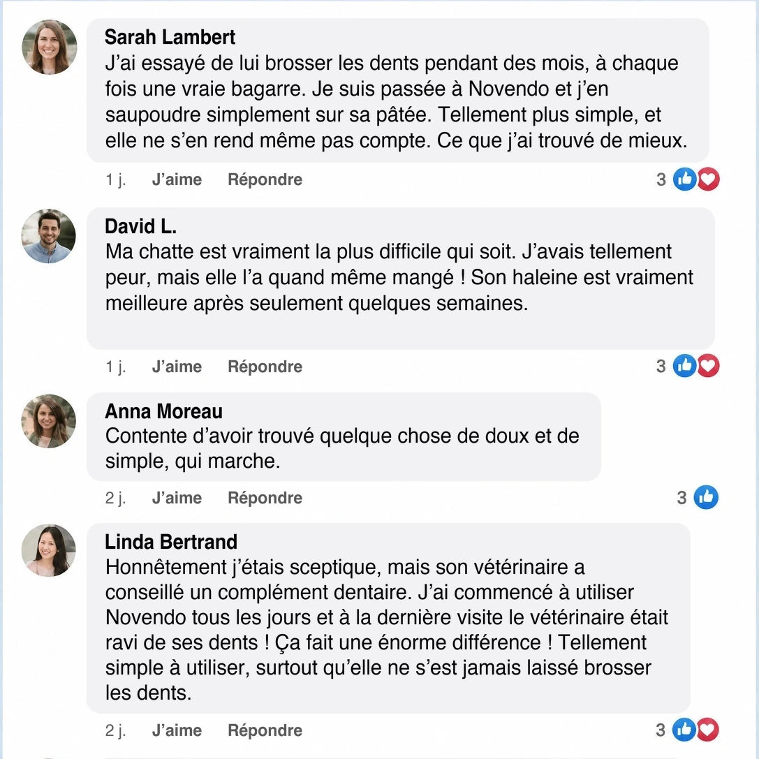 Commentaires Facebook de propriétaires de chats sur Novendo