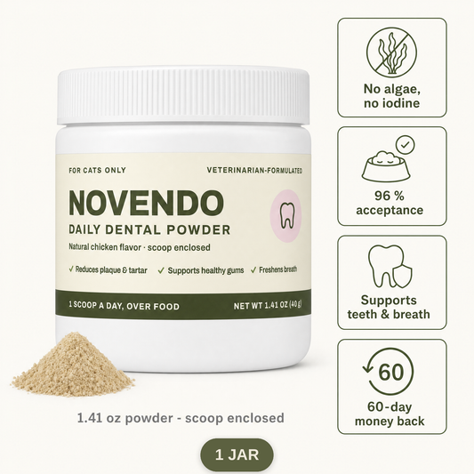 Novendo 1 jar