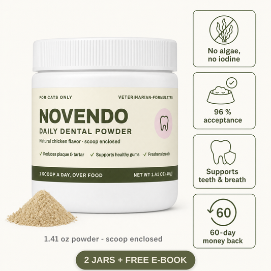 Novendo 2 jars plus free e-book
